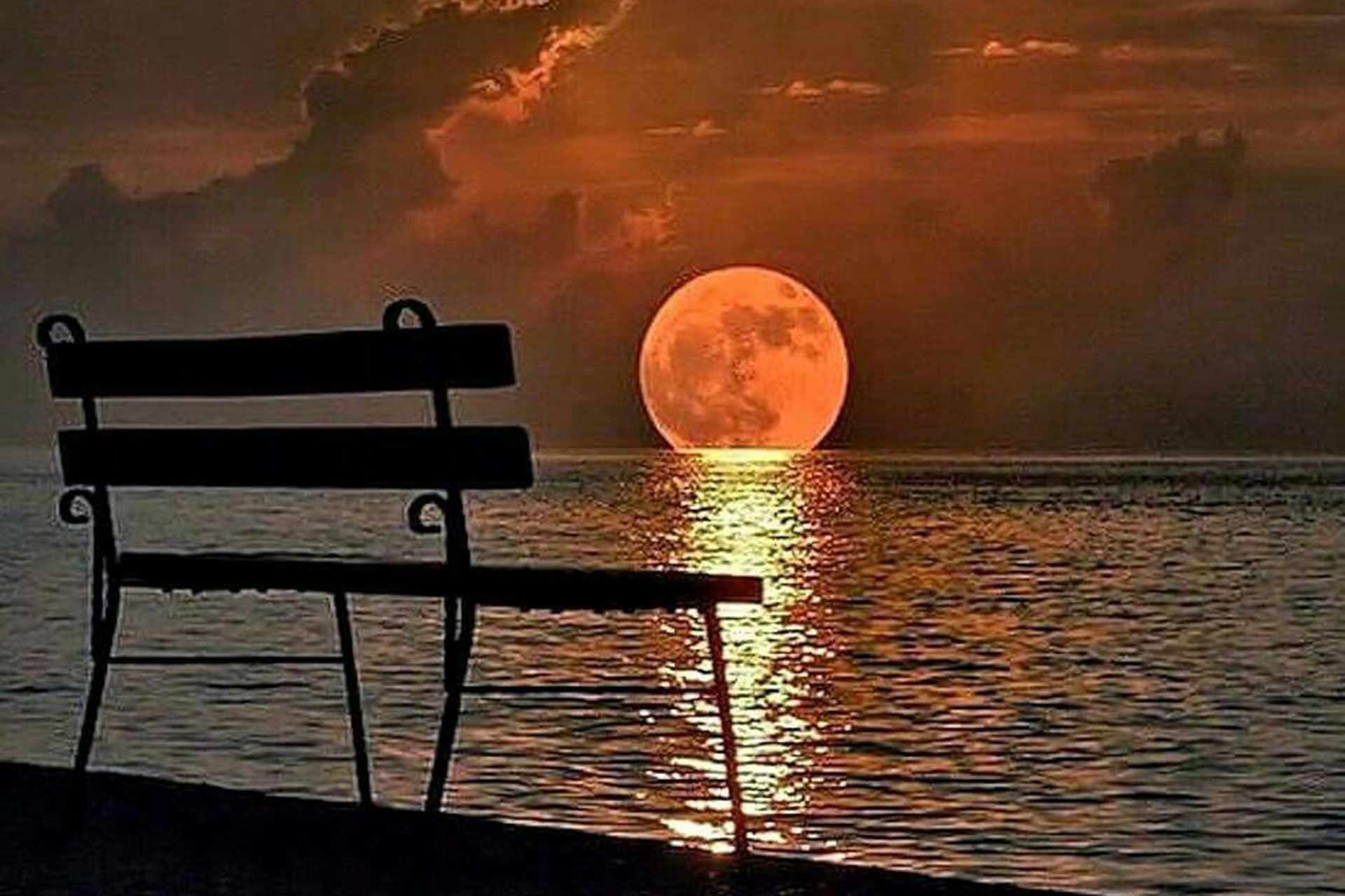 lutto- adattamento- morte -Psicologo a Lucca