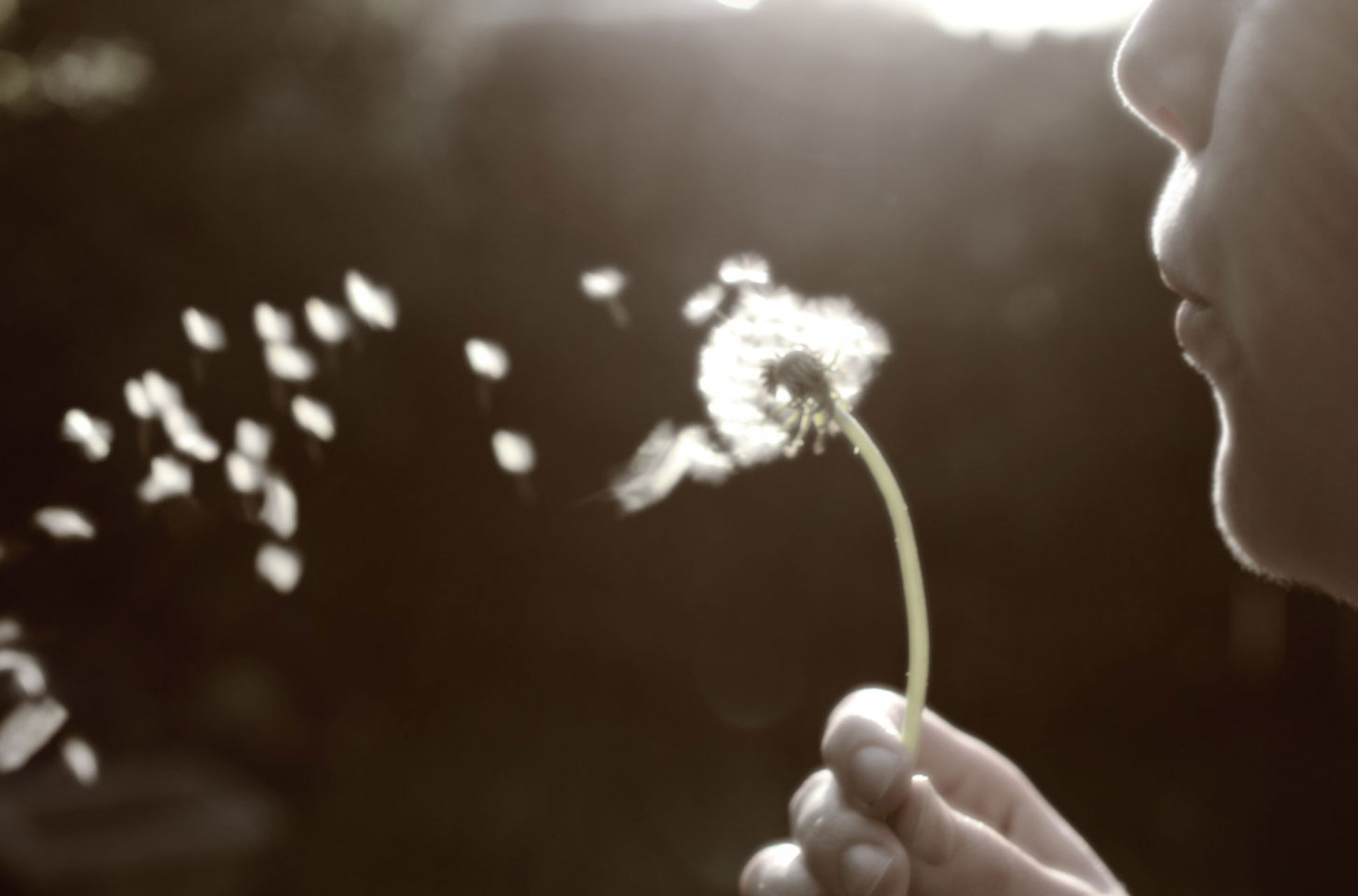 psicologo lutto aborto